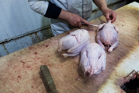 چرا قیمت مرغ در لرستان بعضاً دو برابر می‌شود؟