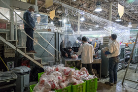 لزوم افزایش توزیع مرغ منجمد برای تنظیم بازار خوزستان