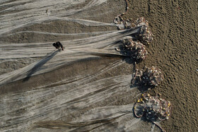 آخرین روزهای صید ماهی در مازندران