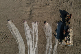 آخرین روزهای صید ماهی در مازندران