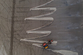 تور ها به وسیله تراکتور از دریا به ساحل کشیده میشود.