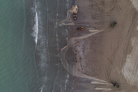 تور ها به وسیله تراکتور از دریا به ساحل کشیده میشود.