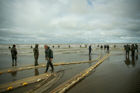 صیادان مازندران پارسال هفت هزار تن انواع ماهی را به روش پره از آب های ساحلی دریای خزر صید کردند، آماری که نسبت به فصل صید سال ۹۶-۹۷ دستکم ۲۰۰ درصد افزایش نشان می دهد .