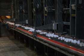 بازدید معاون اول رییس‌جمهور از یک واحد تولیدی تخم‌مرغ و یک دامداری در شهرستان ری