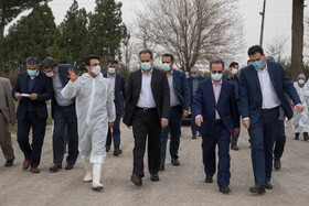 بازدید معاون اول رییس‌جمهور از یک واحد تولیدی تخم‌مرغ و یک دامداری در شهرستان ری