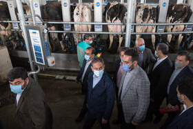 بازدید معاون اول رییس‌جمهور از یک واحد تولیدی تخم‌مرغ و یک دامداری در شهرستان ری