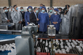 بازدید معاون اول رییس‌جمهور از یک واحد تولیدی تخم‌مرغ و یک دامداری در شهرستان ری