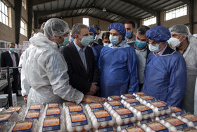 بازدید معاون اول رییس‌جمهور از یک واحد تولیدی تخم‌مرغ و یک دامداری در شهرستان ری