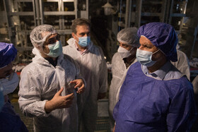 بازدید معاون اول رییس‌جمهور از یک واحد تولیدی تخم‌مرغ و یک دامداری در شهرستان ری