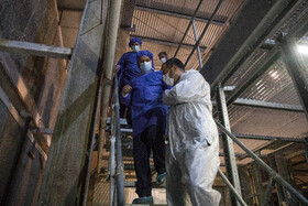 بازدید معاون اول رییس‌جمهور از یک واحد تولیدی تخم‌مرغ و یک دامداری در شهرستان ری