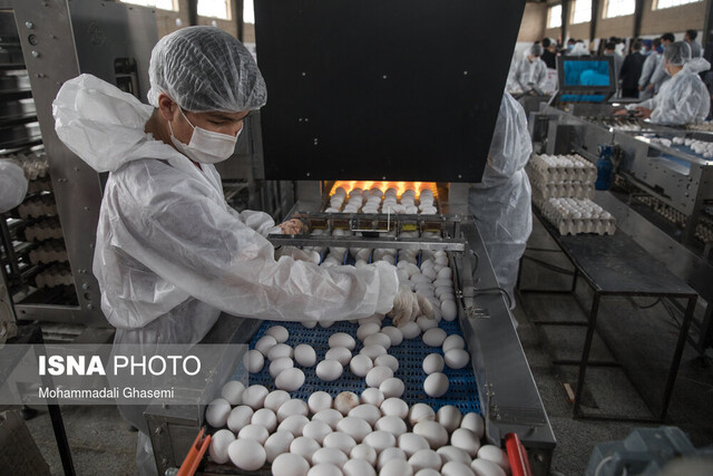 از گران‌ فروشی تخم‌مرغ تا افزایش قیمت گوشت قرمز در قزوین