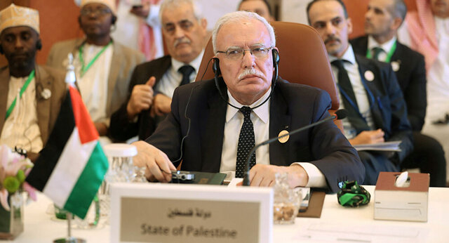تاکید بحرین و پاکستان بر حمایت از فلسطین در گفتگو با ریاض مالکی