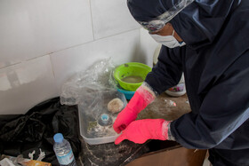 ابتلای ۲۸۶ مورد جدید به کرونا ویروس در لرستان
