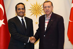 تحولات سوریه و لیبی، محور دیدار اردوغان و وزیر خارجه قطر