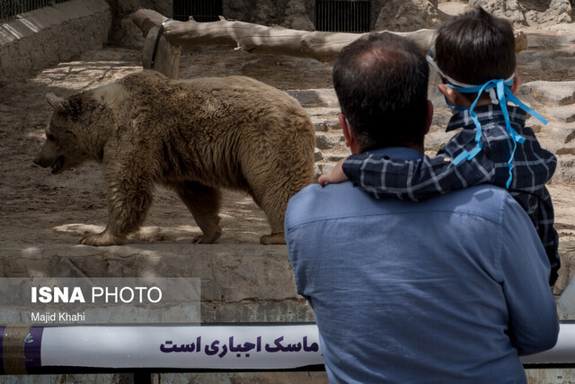بازدید از باغ وحش ارم ۱۳ آبان رایگان است بازدید از باغ وحش ارم ۱۳ آبان رایگان است