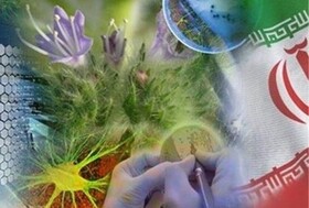 تصمیم‌سازان توسعه نگاه تخصصی به حفظ محیط زیست را بپذیرند