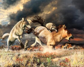 تغییر عادات غذایی، گرگ‌ها را از انقراض نجات داد