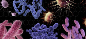 خطر افزایش باکتری‌های مقاوم به آنتی‌بیوتیک با ادامه همه‌گیری