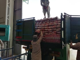 امدادرسانی و ارسال فوری اقلام ضروری به مناطق سیل‌زده کرمان