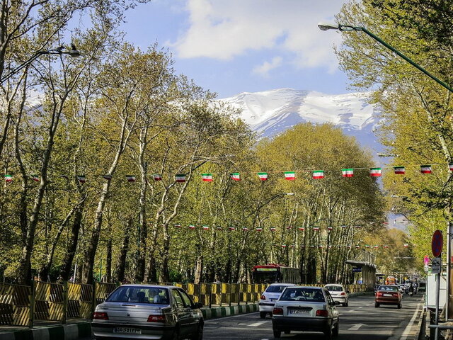 بررسی آفات و بیماری های "درختان روتبال" خیابان ولیعصر