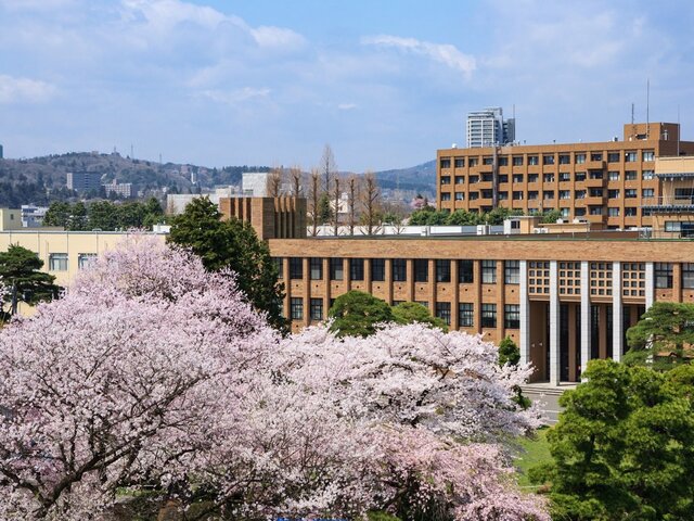 با ۵ دانشگاه برتر ژاپن آشنا شوید