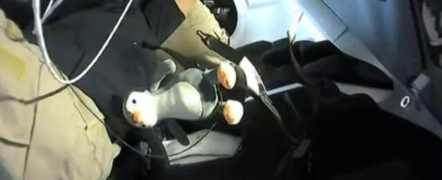 خدمه‌ی کرو-۲ یک پنگوئن عروسکی با خود به فضا بردند