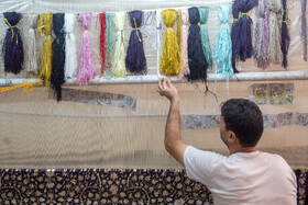 کارگاه تولیدی فرش دستباف در خیابان توحید قم، در این کارگاه از سال 1390 فرشی به ابعاد 8 در 4 متر مربع در حال بافت است