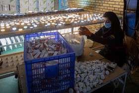 واحد تولید لامپ های ال ای دی و اس ام دی در شهرک سلفچگان قم