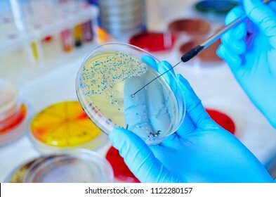 کارگاه آموزش مهارتهای میکروبیولوژی برگزار میشود کارگاه آموزش مهارتهای میکروبیولوژی برگزار میشود