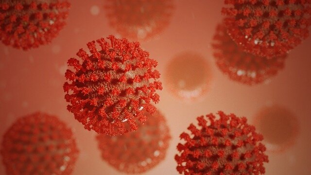 ۹۵ مورد جدید مبتلا به کرونا ویروس / ۲ مورد فوتی