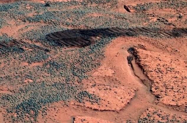 ۳ دانشمند مدعی وجود "قارچ" در مریخ شدند!