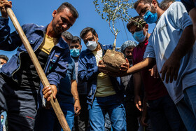 شادی کارگران هفت‌تپه پس از خلع ید مالک قبلی 11