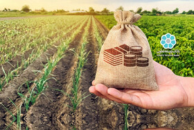 پرداخت ۳۳ هزار میلیارد تسهیلات کشاورزی در مازندران