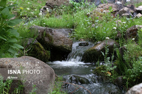 ما بخشی از راه حل برای طبیعت هستیم