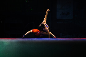 چهل و یکمین دوره رقابتهای بینالمللی کشتی آزاد جام تختی پنجشنبه ۳۰ اردیبهشت در سالن ۱۲ هزار نفری آزادی تهران برگزار شد.