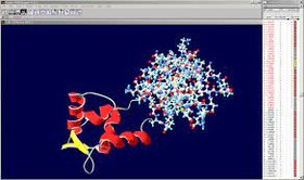 بیوانفورماتیک و نرم افزار Swiss pdb viewer