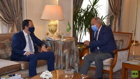 سوریه، لیبی و فلسطین موضوعات دیدار دبیرکل اتحادیه عرب و وزیر خارجه قبرس