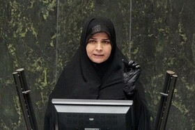 از دیپلماسی پارلمانی برای نشان دادن حقانیت ملت ایران به جهان استفاده کنیم