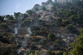 آتش سوزی جنگل‌های «نارک» گچساران همچنان ادامه دارد