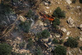 آتش سوزی در منطقه جنگلی چنگری کوهدشت
