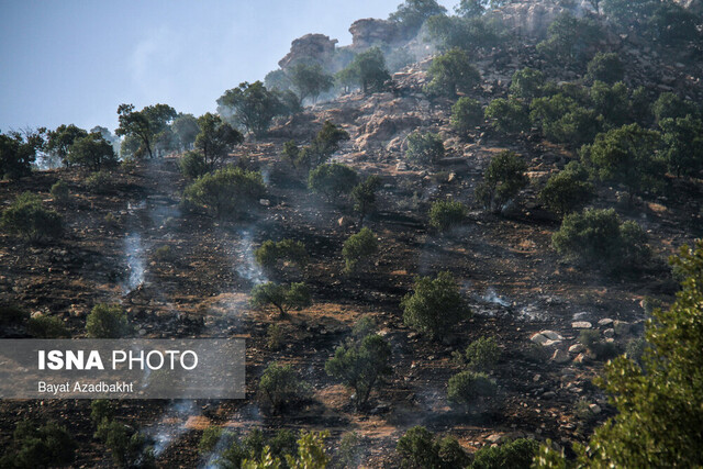 آتش سوزی جنگلهای «نارک» گچساران همچنان ادامه دارد آتش سوزی جنگلهای «نارک» گچساران همچنان ادامه دارد