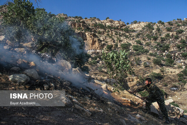 عکس آرشیوی است. وقوع حریق در ارتفاعات سیاخ دارنگون شیراز
