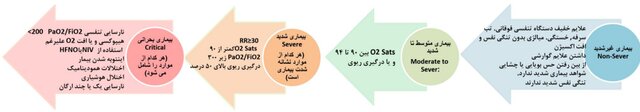 4 مرحله کرونا و افراد در معرض خطر این بیماری 2