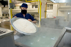 راهکار موثر دانشگاه تهران برای کاهش اتلاف آب با به کارگیری خط پخت اتوماتیک برنج