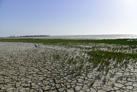 خشکسالی و عقب نشینی آب های خلیج گرگان از دریای خزر به فضایی آلوده، خشک و زننده تبدیل شده است.