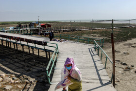 پل‌های چوبی اسکله بندر ترکمن پیش از خشکسالی برای رفت آمد مردم روی آب استفاده می‌شدند، حالا با وجود خشکسالی و عقب نشینی آب و وجود بوی بد محیط، مسافران کمتری از این پل‌های چوبی خلیج دیدن می‌کنند.  