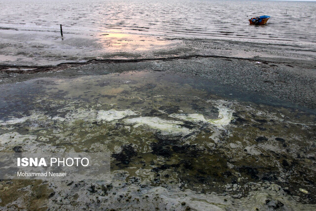 هشدار سازمان هواشناسی نسبت به افزایش سرعت وزش باد و ارتفاع امواج دریای خلیج فارس
