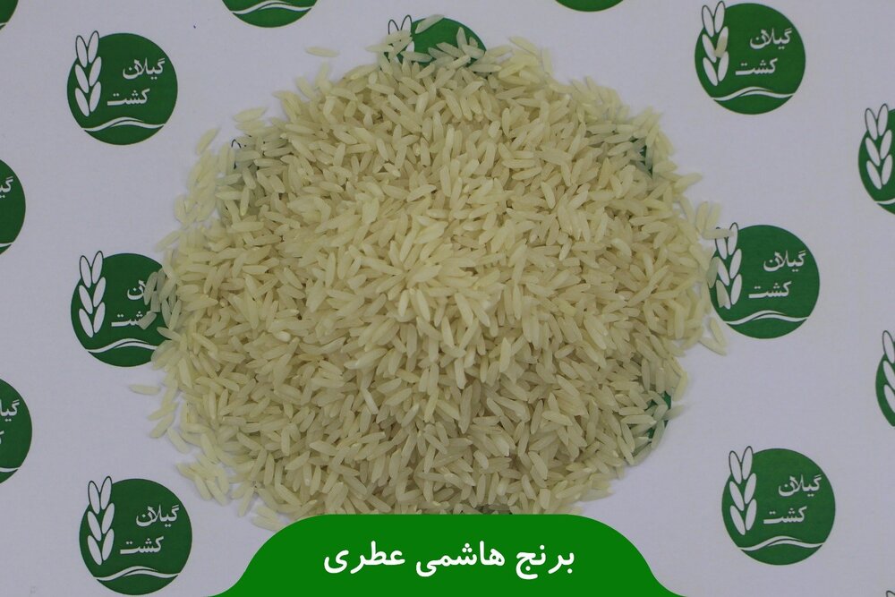 خرید برنج هاشمی درجه یک از سایت گیلان کشت