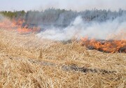 افزایش سطح آتش‌سوزی اراضی خوزستان/ سوختن بیش از ۲۴۰۰ هکتار در سال گذشته 