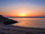 خبر خوش خانم وزیر درباره رفع آلودگی در سواحل جنوب